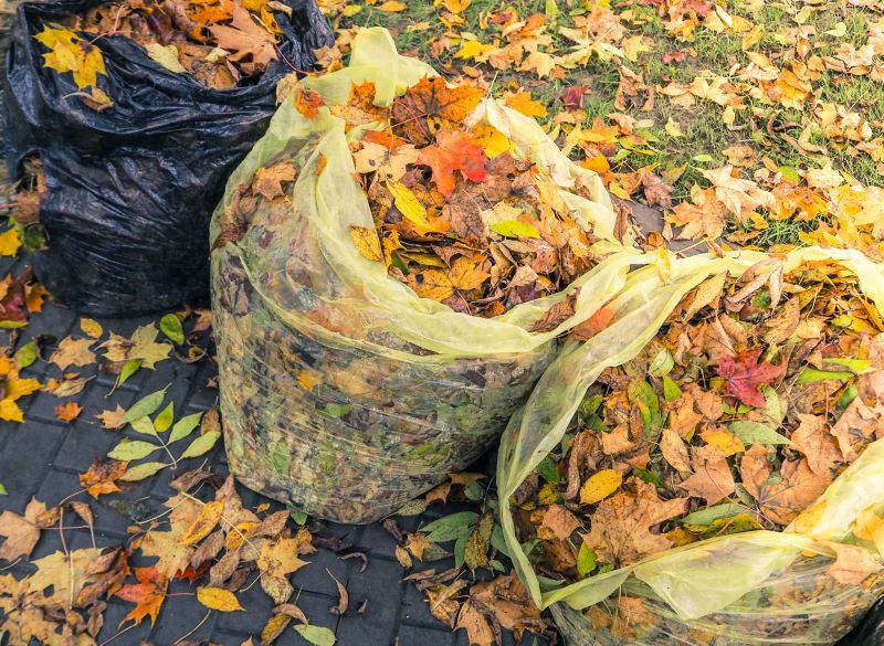 Bagged Leaves Ready for Disposal