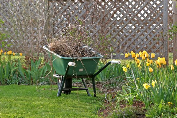 Flower Bed Cleanup Service in Glen Burnie