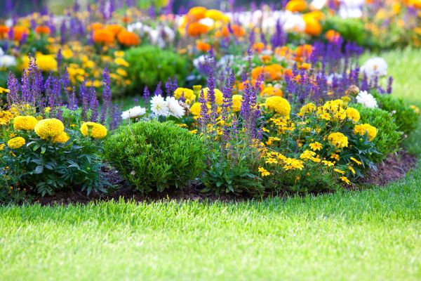 Flower Bed Maintenance in Glen Burnie