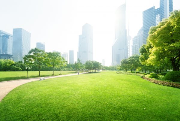 Commercial Landscape Maintenance in Glen Burnie
