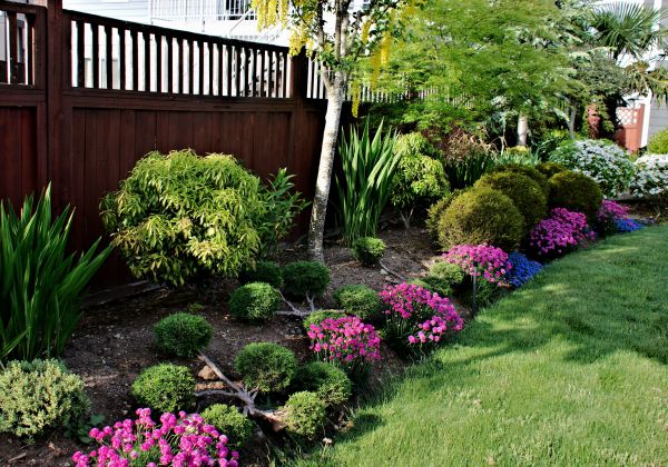 Garden Care Service in Glen Burnie