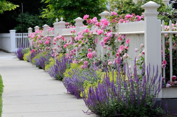 Garden Handyman Service in Glen Burnie