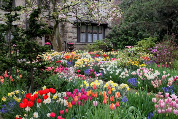 Garden Maintenance Service in Glen Burnie