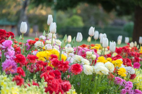 Gardening Service in Glen Burnie