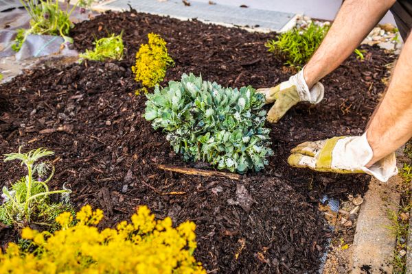 Weeding And Mulching in Glen Burnie