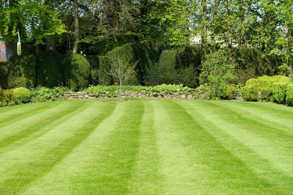 Lawn Renovation in Glen Burnie