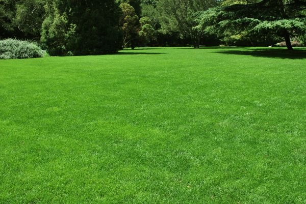 Lawn Landscaping in Glen Burnie