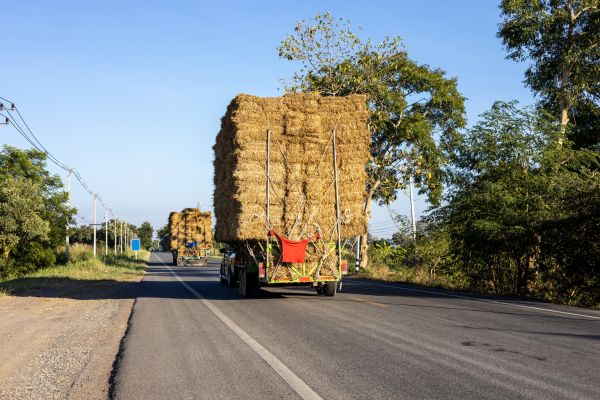 Pine Straw Delivery in Glen Burnie