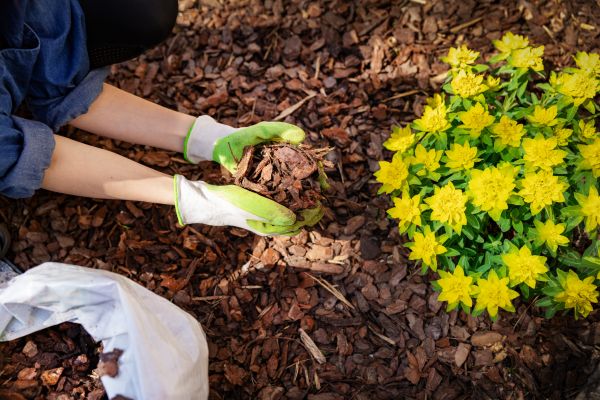 Garden Mulching in Glen Burnie