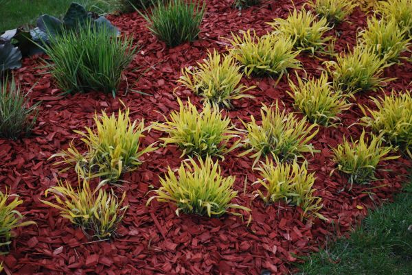 Mulch Landscaping in Glen Burnie
