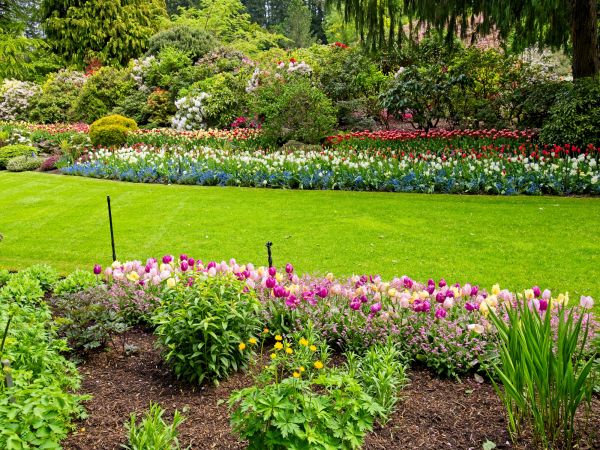 Residential Landscape Design in Glen Burnie