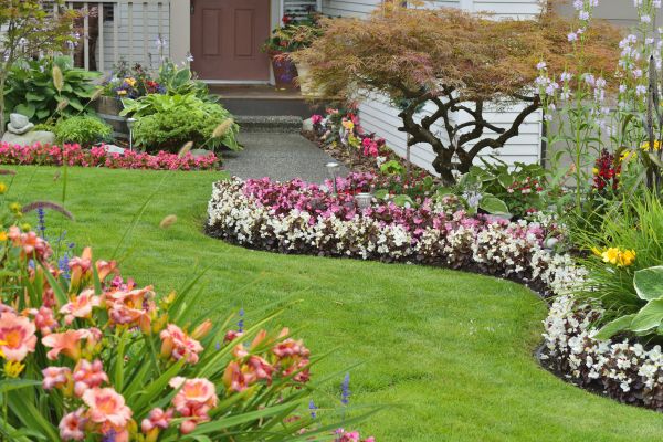 Perennial Landscaping in Glen Burnie