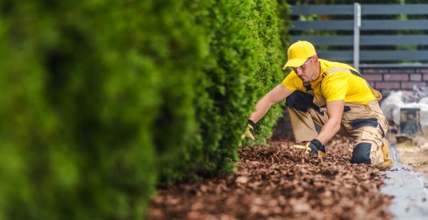 Cypress Mulch Installation in Glen Burnie