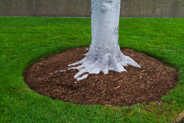 Brown Mulch Installation in Glen Burnie