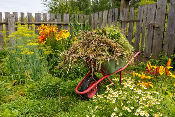 Garden Cleanup Service in Glen Burnie