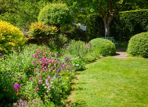 Yard Landscaping Service in Glen Burnie