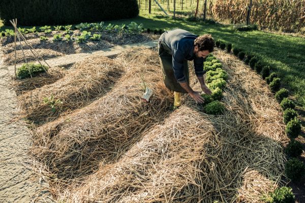 Straw Mulching Service in Glen Burnie