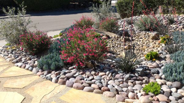 Xeriscape Landscaping in Glen Burnie