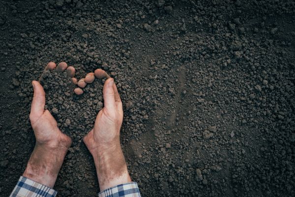 Soil Installation in Glen Burnie