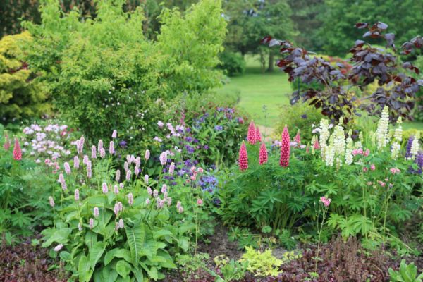 Flower Bed Planting in Glen Burnie