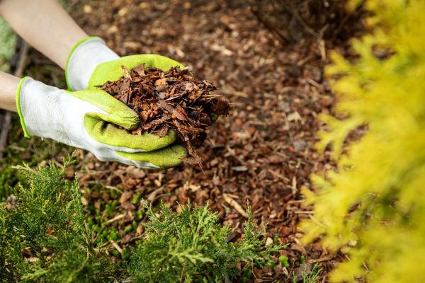 Garden Mulch Delivery in Glen Burnie