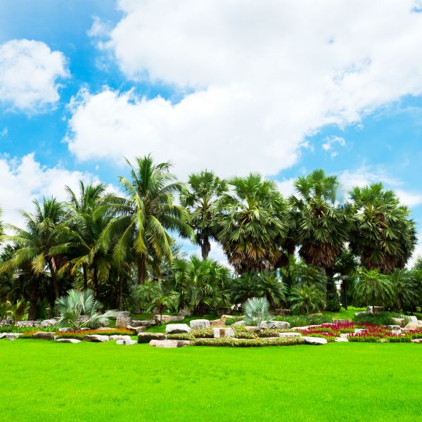 Tropical Landscaping in Glen Burnie