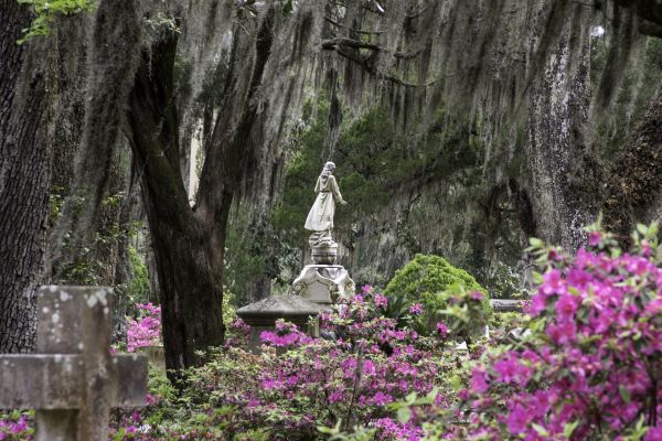 Cemetery Landscaping in Glen Burnie