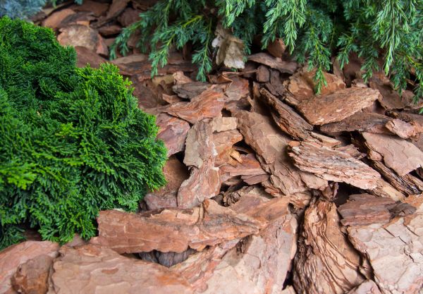 Pine Bark Installation in Glen Burnie