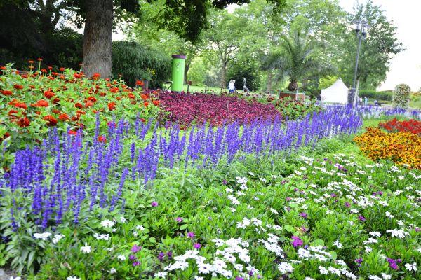 Perennials Planting in Glen Burnie