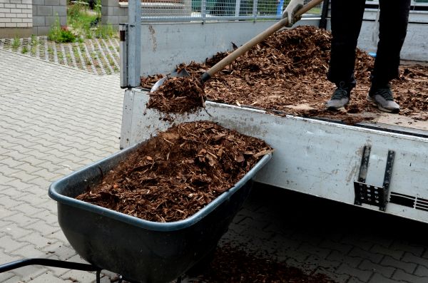 Cypress Mulch Delivery in Glen Burnie