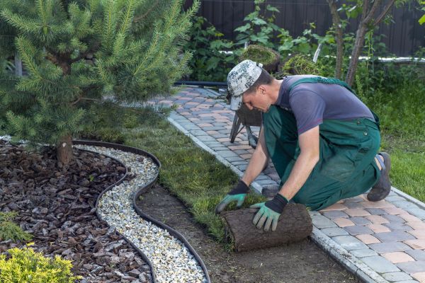 Landscaping Modification in Glen Burnie