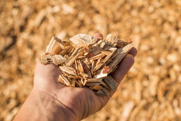 Wood Chips Spreading in Glen Burnie