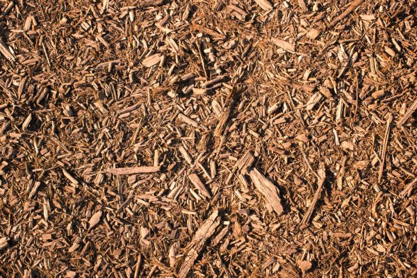Wood Chips Removal in Glen Burnie