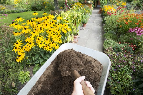 Topsoil Replacement in Glen Burnie