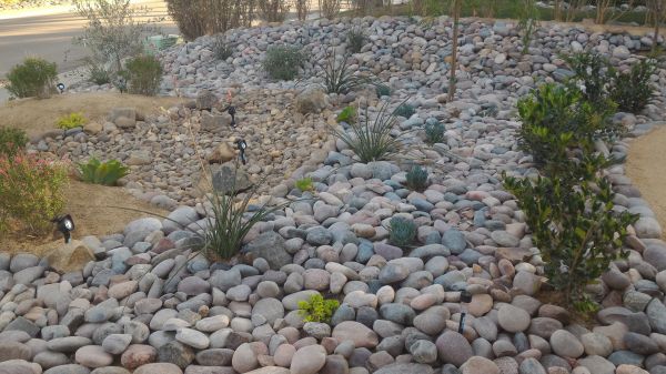 Yard Xeriscaping in Glen Burnie