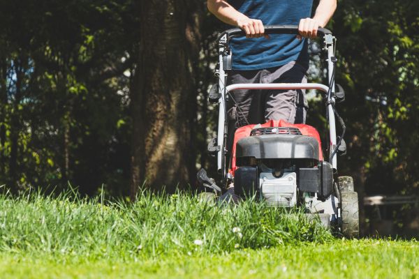Garden Trimming Service in Glen Burnie