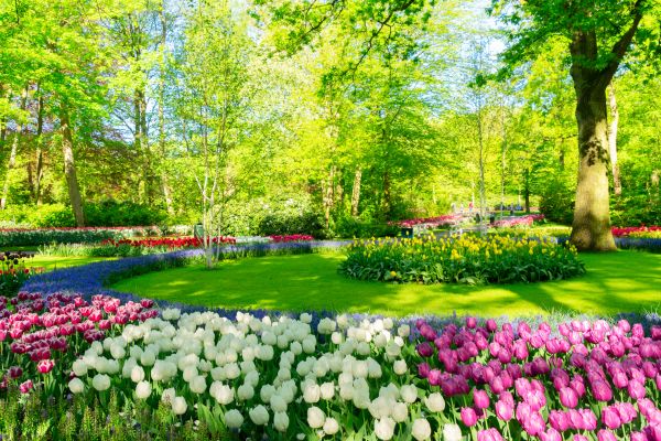 Flower Landscaping in Glen Burnie