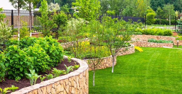 Yard Makeover Service in Glen Burnie