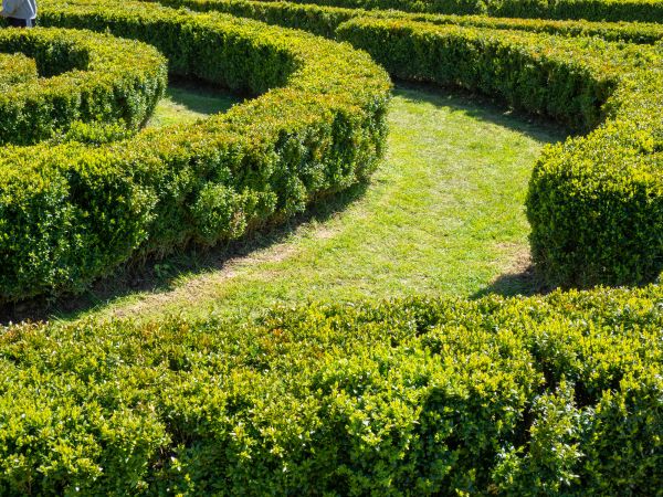 Bush Landscaping in Glen Burnie