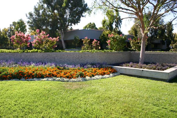 Commercial Landscape Service in Glen Burnie