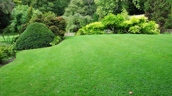 Commercial Landscape Design in Glen Burnie