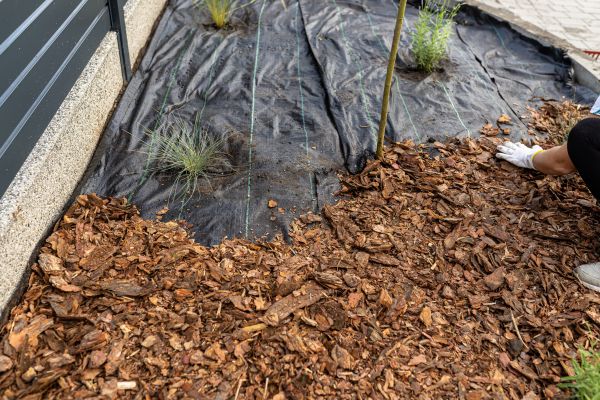 Pine Bark Spreading in Glen Burnie