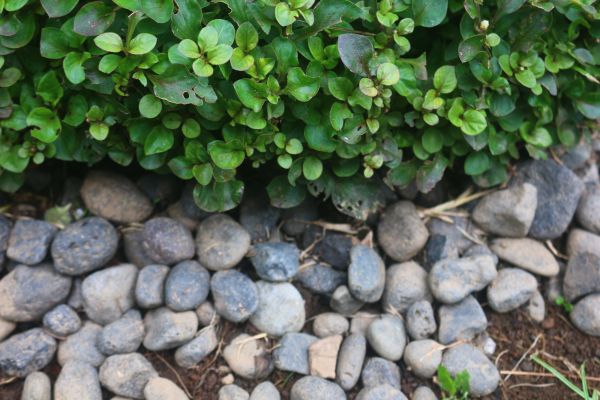 River Stone Installation in Glen Burnie