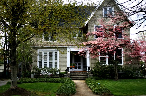 Ornamental Tree Planting in Glen Burnie