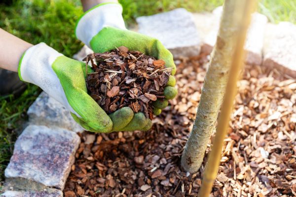 Tree Bark Delivery in Glen Burnie