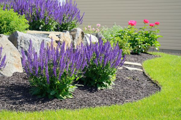 Landscape Planting Service in Glen Burnie