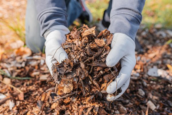 Shredded Mulch Installation in Glen Burnie