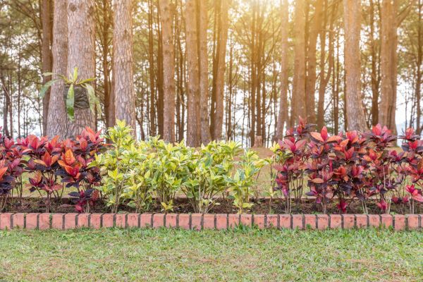 Small Garden Landscaping in Glen Burnie