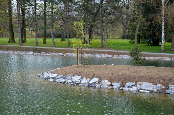 Pond Landscaping Service in Glen Burnie
