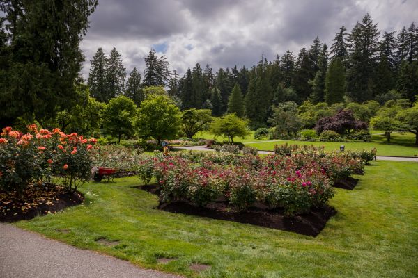 Flower Garden Landscaping in Glen Burnie